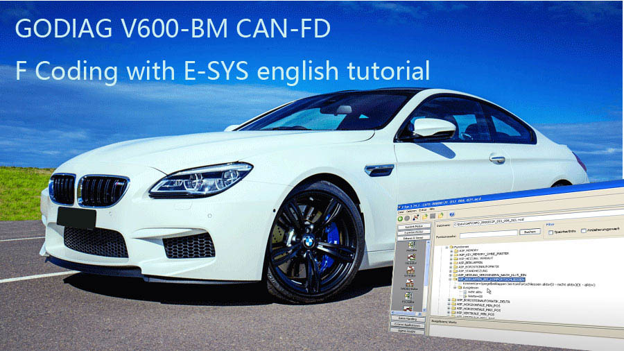 Godiag V600-BM Engineer programming & coding software for F series vehicles